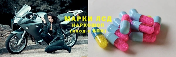 крисы Беломорск