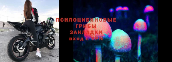 крисы Беломорск